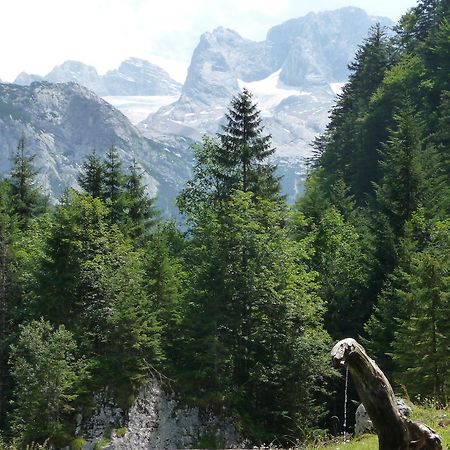 Ferienwohnung Inge Gapp Gosau Zewnętrze zdjęcie