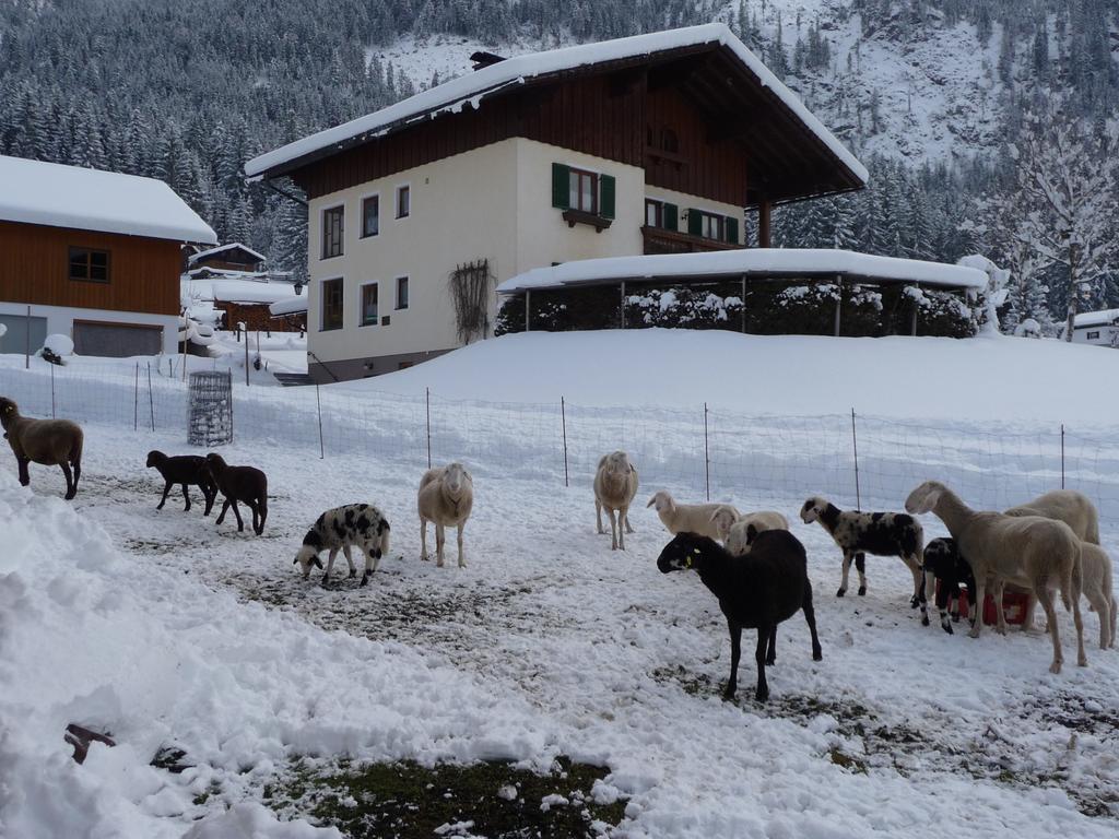 Ferienwohnung Inge Gapp Gosau Zewnętrze zdjęcie